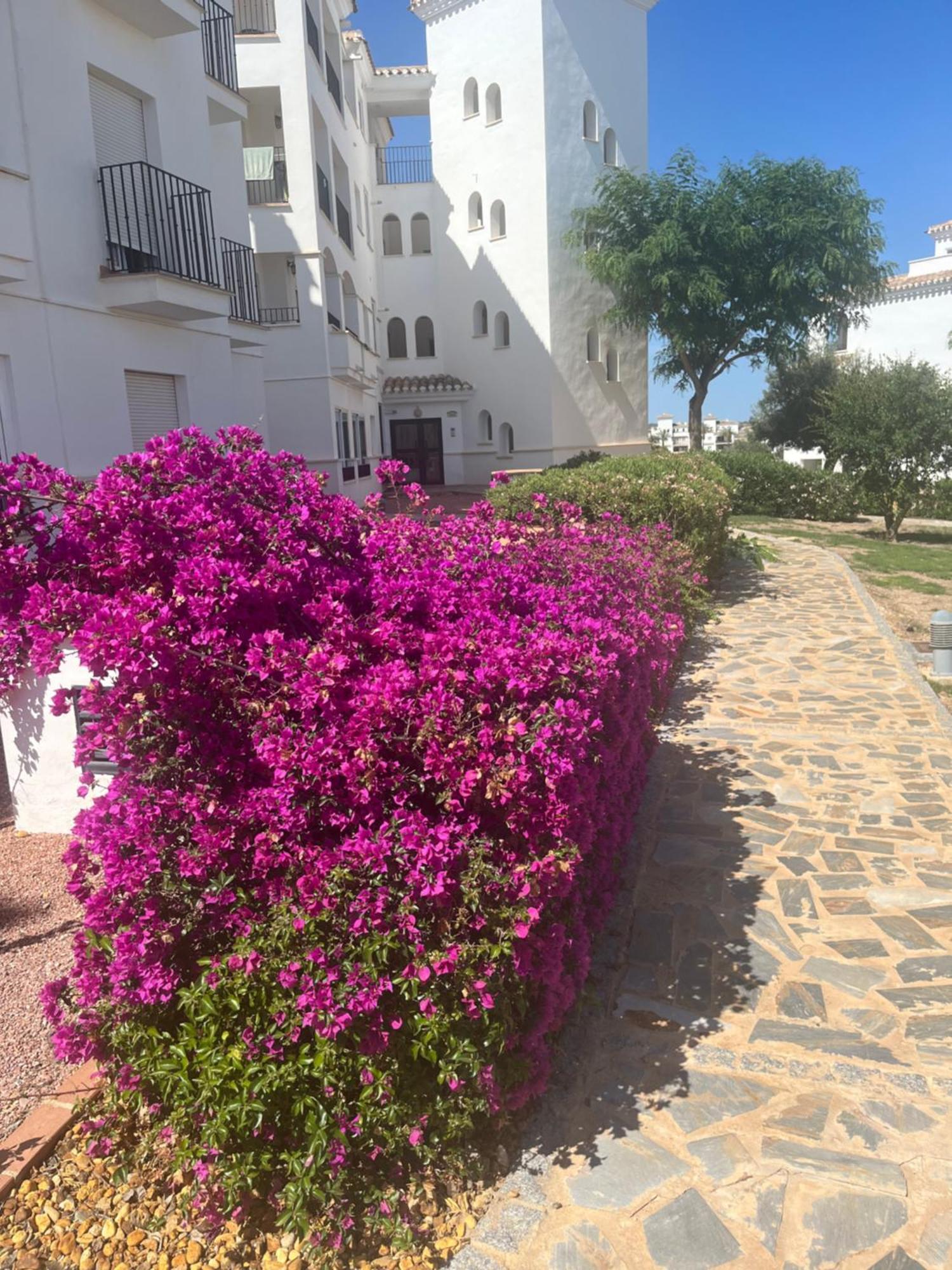 La Casa Rosita, Hacienda Riquelme Golf Resort Sucina Murcia Dış mekan fotoğraf